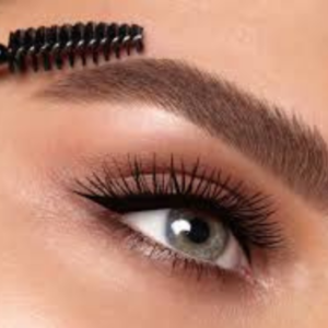 HD Brows Training Course