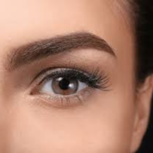 Ombre/Powder Brows Course